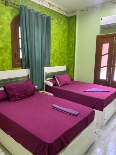 two beds in a room with purple and green walls at Sunrise shiny Nubian Guest House in Aswan