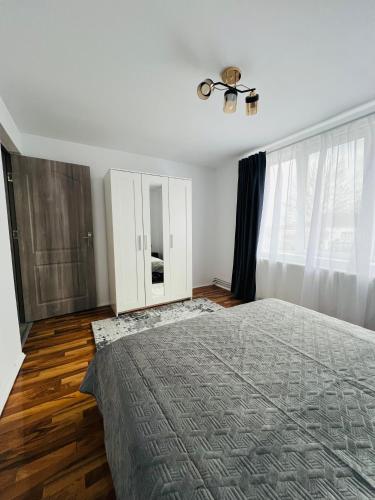 a bedroom with a large bed and a window at Apartament central in Buziaş