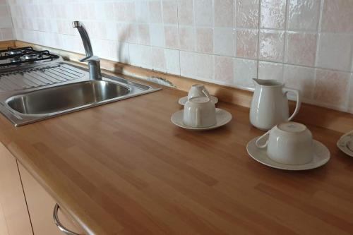 a kitchen counter with two pitchers and a sink at GUALANDI 25 in Rome