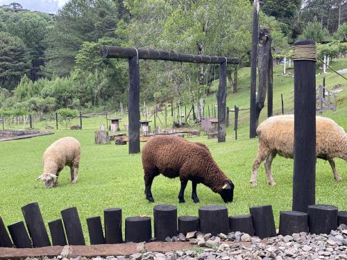 Binatang di lodge atau berdekatan