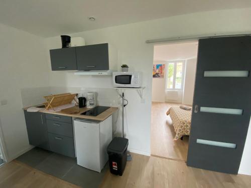 une petite cuisine avec un comptoir et un micro-ondes dans l'établissement Cattleya location, à Vierzon