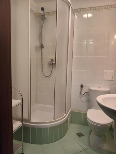 a bathroom with a shower and a toilet and a sink at OLIMPIA Ośrodek Przygotowań Sportowych in Rybnik