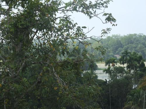 a view of the river from the forest at Tanamera Estate Weligama in Weligama