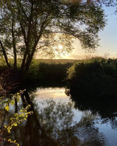 a reflection of the sun in a river with a tree at Millside by Wigwam Holidays in Grantham