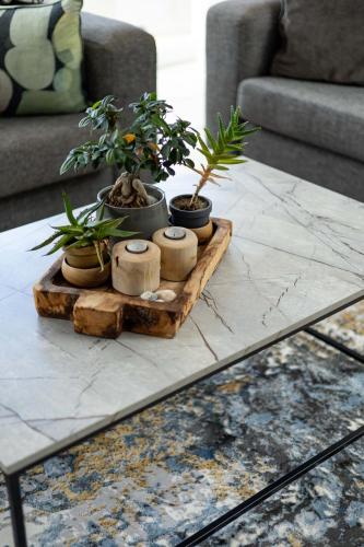 a coffee table with potted plants on top of it at Beachfront Villa Sea Breeze Hout Bay Cape Town in Hout Bay