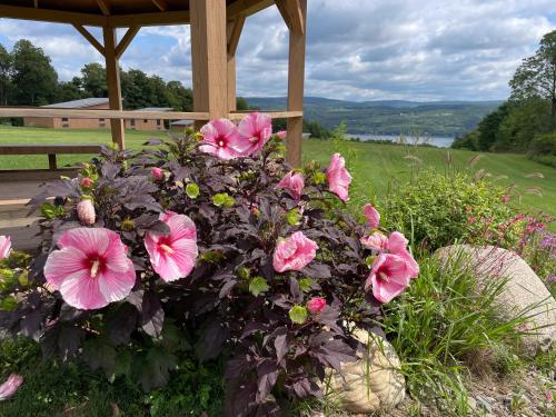 a bunch of pink flowers in a garden at Lakeside Resort in Watkins Glen