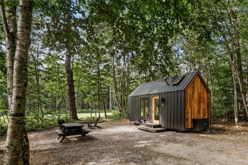 a cabin in the woods with a picnic table and a bench at Lumen Nature Retreat in Woodstock