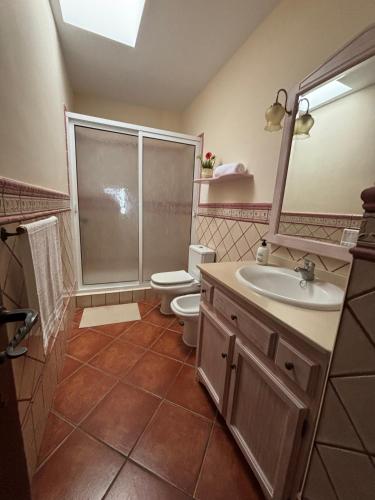 a bathroom with a shower and a toilet and a sink at Vv Las Vistas in Icod de los Vinos