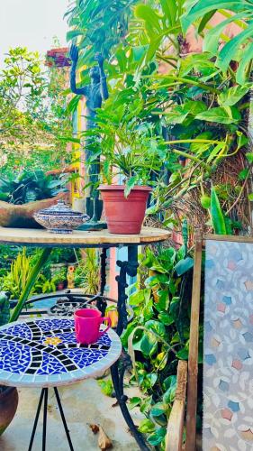 a table with a red cup on it next to plants at Hospedaria Santa Bárbara in Rio de Janeiro