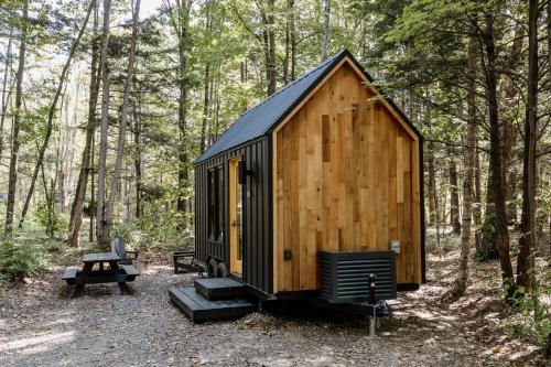 a wooden cabin in the woods with a picnic table at Lumen Nature Retreat in Woodstock