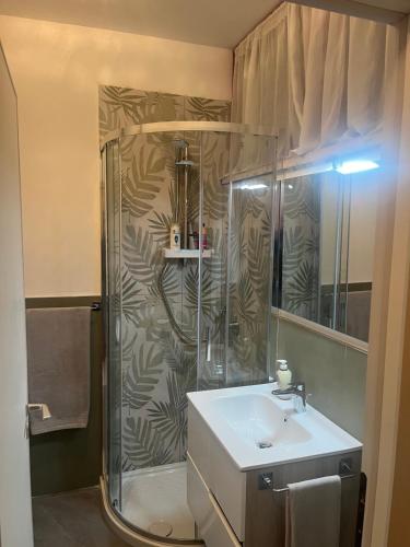a bathroom with a shower and a sink at Casina mare bibbona in Marina di Bibbona