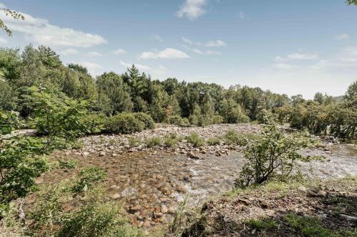 a river in the middle of a forest at Lumen Nature Retreat in Woodstock