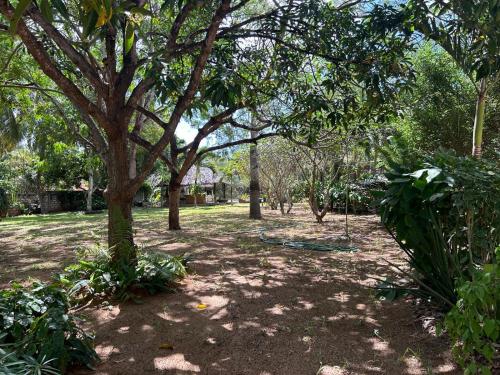 a park with a lot of trees and a swing at Kipembeni 'Tower' in Kilifi