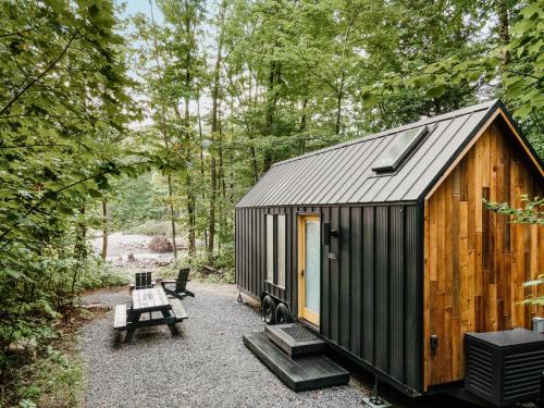 a cabin in the woods with a picnic table and a bench at Lumen Nature Retreat in Woodstock