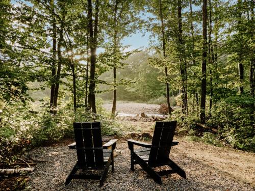 two chairs sitting on a path in the woods at Lumen Nature Retreat in Woodstock