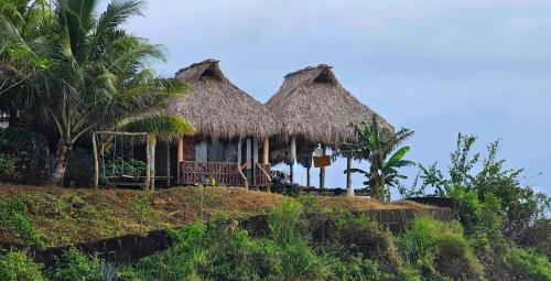 a resort with thatched huts on top of a hill at Monkey House Hostel in Tola