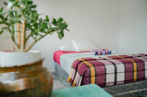 a bedroom with two beds and a potted plant at Casa Madera in San Marcos La Laguna