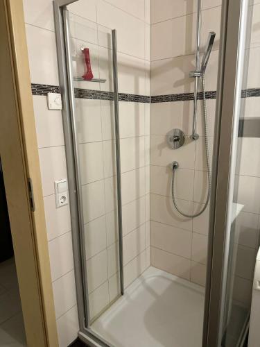a shower with a glass door with a red shoe on a shelf at Schöne Ferienwohnung Bodenseeregion in Singen
