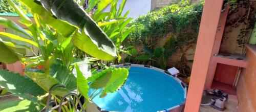 a swimming pool in a garden with green plants at Casa Rosa in Sayulita