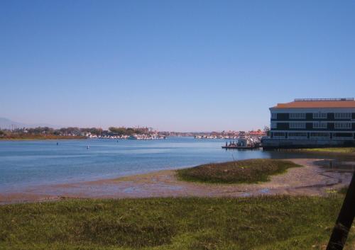 a large body of water next to a building at OceanView Motel in Huntington Beach