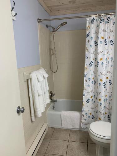 a bathroom with a tub and a toilet and a shower curtain at Shanty Creek, Condo, Golf ,Sleeps 4, Pets welcome! in Bellaire