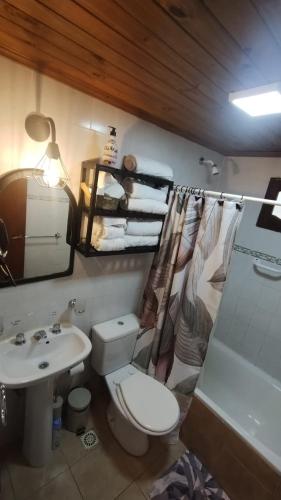 a bathroom with a white toilet and a sink at La Comarca Azul in El Calafate