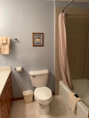 Ένα μπάνιο στο Top Floor Luxury, Sauna, Private Pool, Lake Bellaire Beach, 5 beds, 4 full bath
