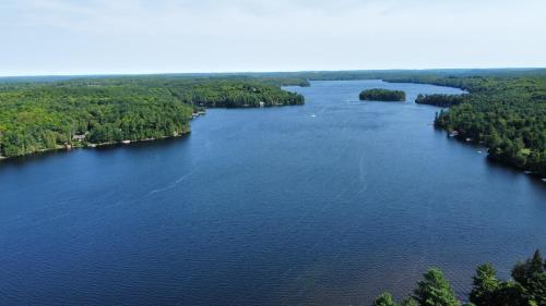 an aerial view of a river with trees at Haliburton Post House in Minden