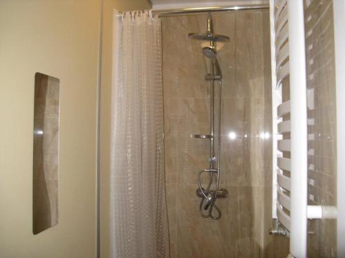 a bathroom with a shower with a shower curtain at Lama Rooms in Warsaw