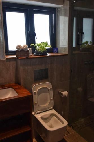a bathroom with a toilet and a sink and two windows at The Oriole - Your base to explore Sri Lanka in Battaramulla