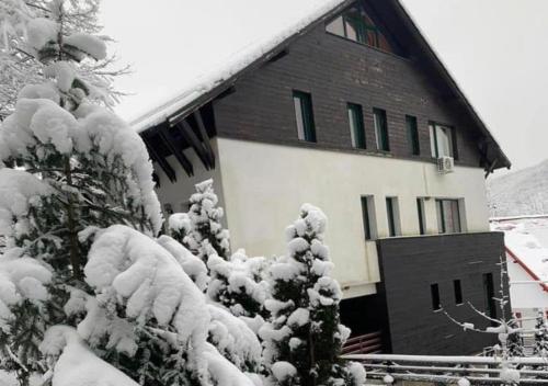 a snow covered house with a snow covered tree at Franzdorf Alpin in Văliug