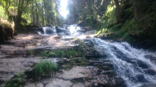 a waterfall in the middle of a forest at Pension Landhaus Koller - Adults only in Bodenmais
