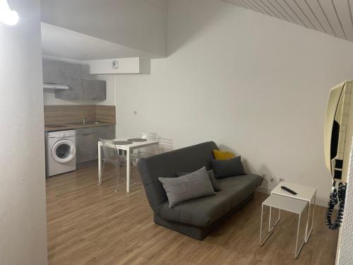 un salon avec un canapé et une table dans l'établissement Le calme Grande rue, à Thonon-les-Bains