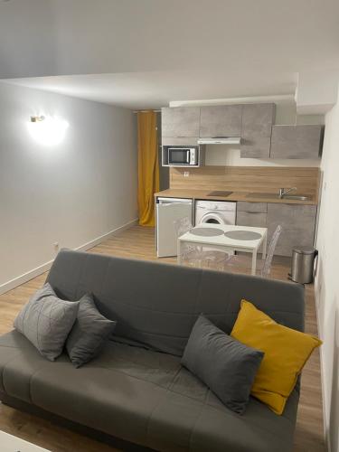 un salon avec un canapé et une cuisine dans l'établissement Le calme Grande rue, à Thonon-les-Bains