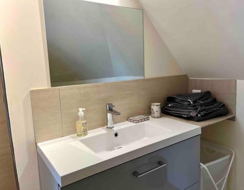 une salle de bain avec un lavabo blanc et un miroir dans l'établissement Adorable petite maison indépendante avec parking privé, à Le Mesnil-le-Roi