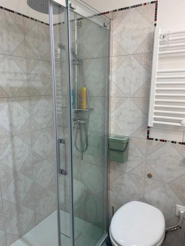une salle de bain avec une douche en verre et des toilettes dans l'établissement chambre studio Louisette, à Courson