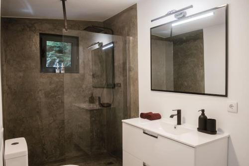 ein Badezimmer mit Dusche, Waschbecken und Spiegel in der Unterkunft BABhouse Villa Jardim das Oliveiras in Nagoselo do Douro