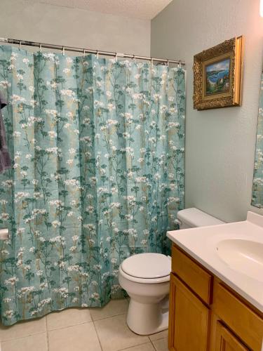 a bathroom with a toilet and a shower curtain at 208 Gunter in Saint Marys