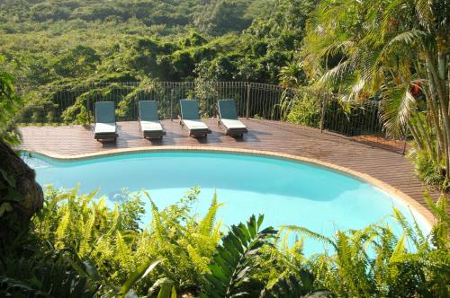 a swimming pool with four lounge chairs in a forest at St Lucia Eco Lodge in St Lucia