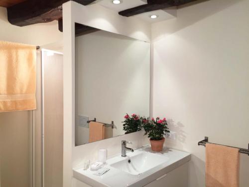 een badkamer met een wastafel en een grote spiegel bij Musicasa Vacanza in Muscletto