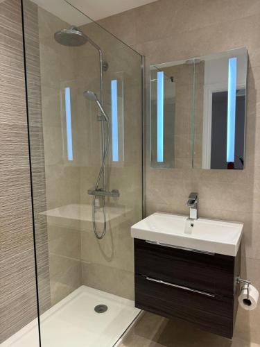 a bathroom with a shower and a sink and a mirror at Lawnfield Lodge in Newcastle