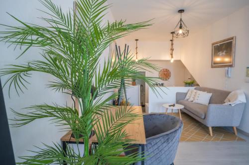a palm tree in a large pot in a living room at ApArtStudio in Oliveira de Frades