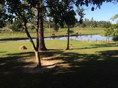 a group of trees in a field next to a lake at Pousada Sarapui in Sarapuí