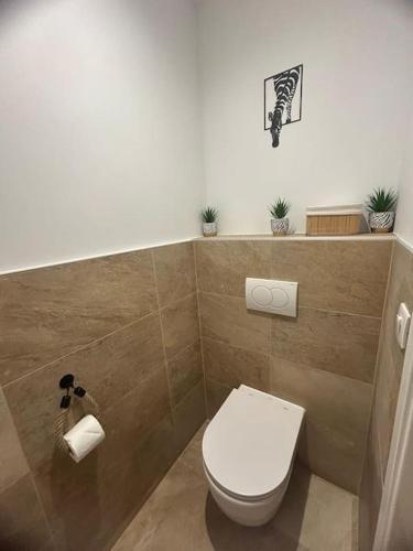 AvolsheimにあるMagnifique gîte avec jacuzzi et sauna privatifsのトイレとトイレットペーパー2ロールを備えたバスルーム