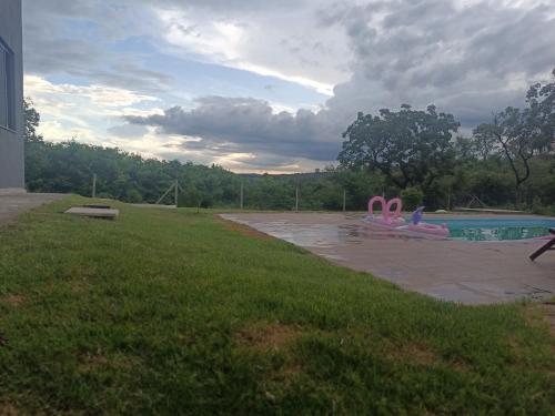 a pool with two pink flamingos in a yard at Estância da Mata, Brasil in Lapinha