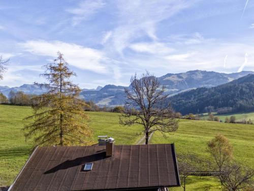 a roof of a house in a field with mountains at Grabnerhof in Brixen im Thale
