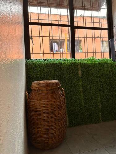 Φωτογραφία από το άλμπουμ του Departamento hogareño Teziutlán σε Teziutlán
