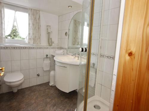 a bathroom with a toilet and a sink and a shower at Schwarzwaldgasthof Hotel Schwanen in Schonach