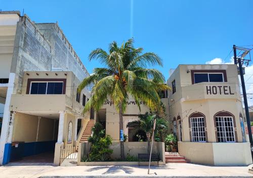 a hotel with a palm tree in front of it at Departamentos Olga in Progreso