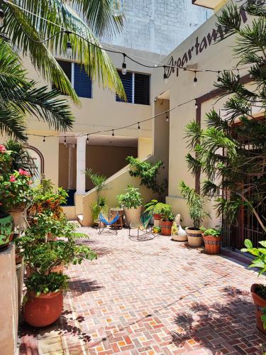 a courtyard with potted plants and a building at Departamentos Olga in Progreso